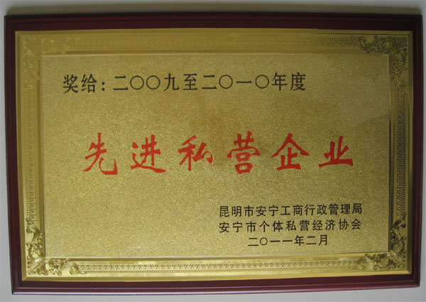 先進(jìn)私營(yíng)企業(yè)